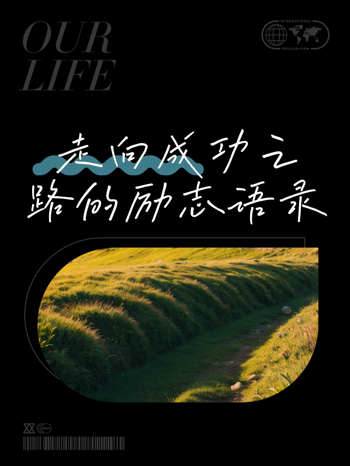 爱游戏官网-匈牙利队获胜成功，走向晋级之路的简单介绍