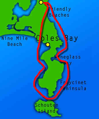 塔斯马尼亚联战术调整，关键球员或将首发出战的简单介绍